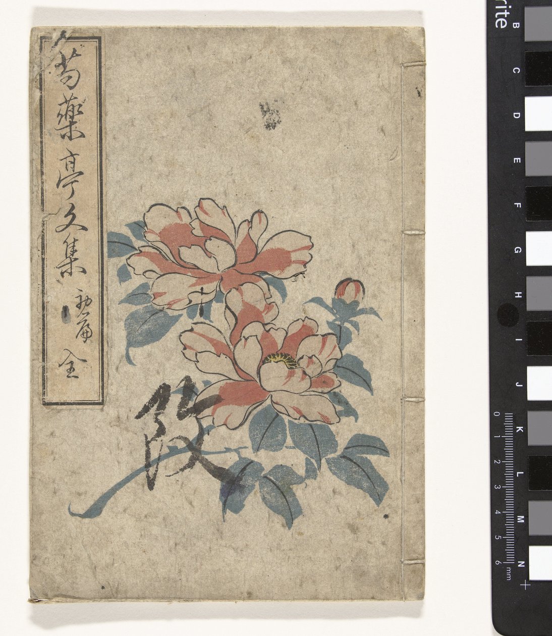 Antologia di peonie da Utagawa (school of)