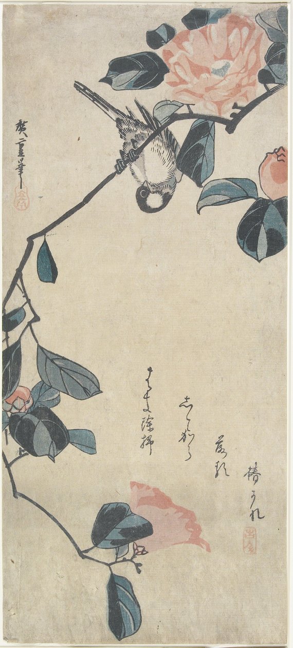 (Uccello su Camelia), inizio XIX secolo da Utagawa Hiroshige