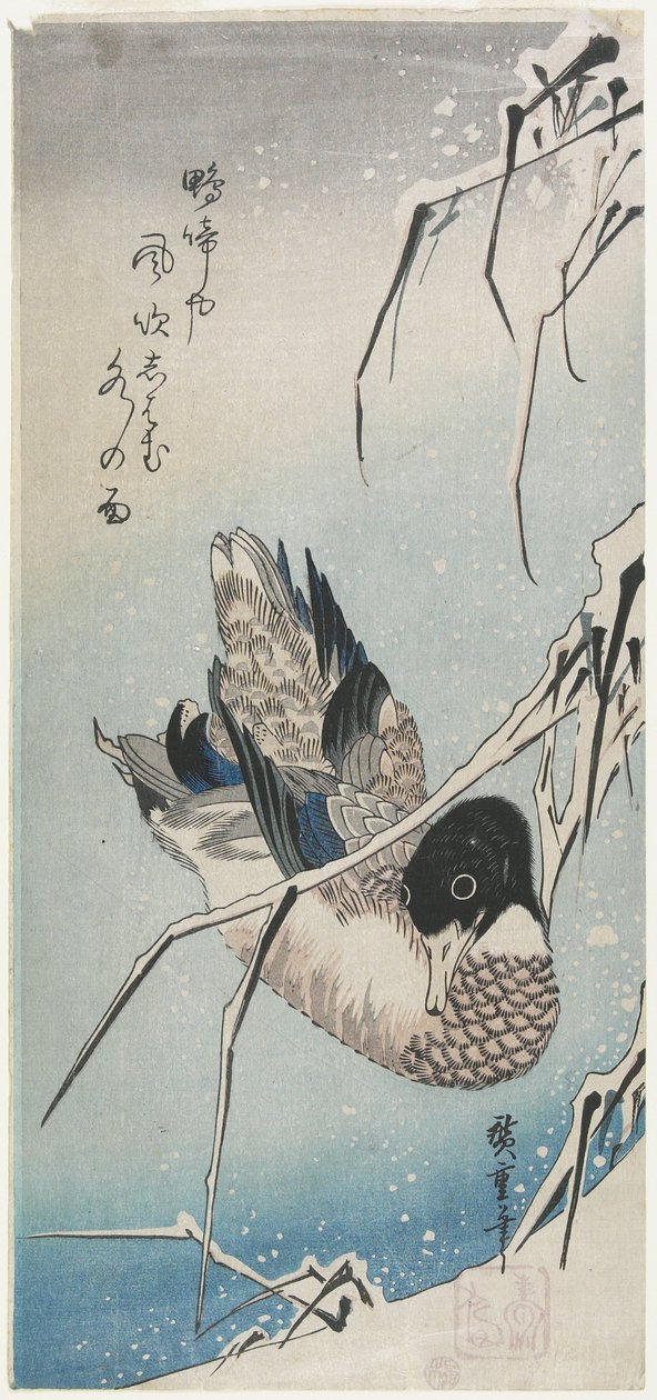 Anatra e canne innevate, primi anni 1830 da Utagawa Hiroshige