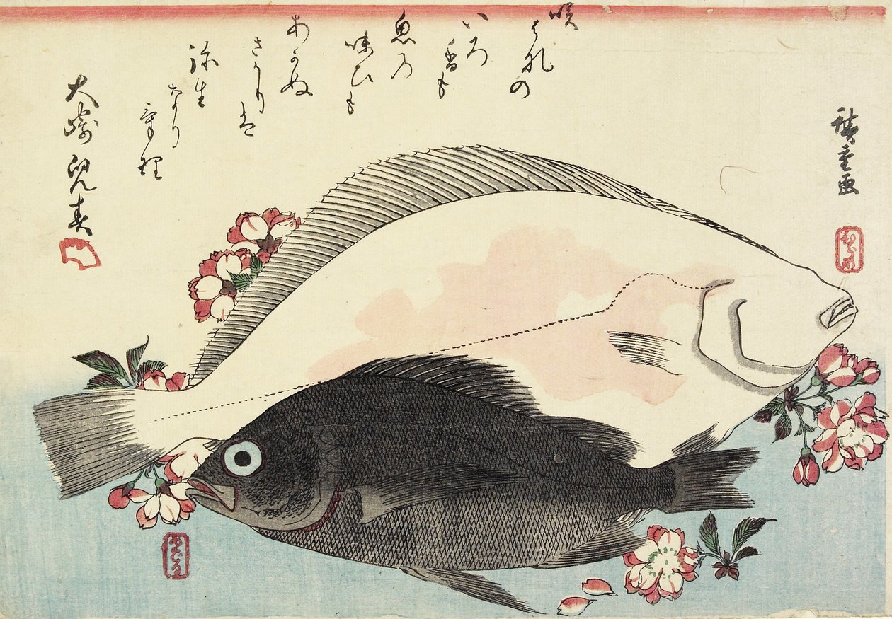 Pesce fluke e black bass, fiori di ciliegio da Utagawa Hiroshige