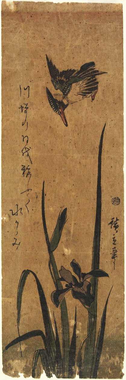 (Iris e martin pescatore), 1830-1858 da Utagawa Hiroshige