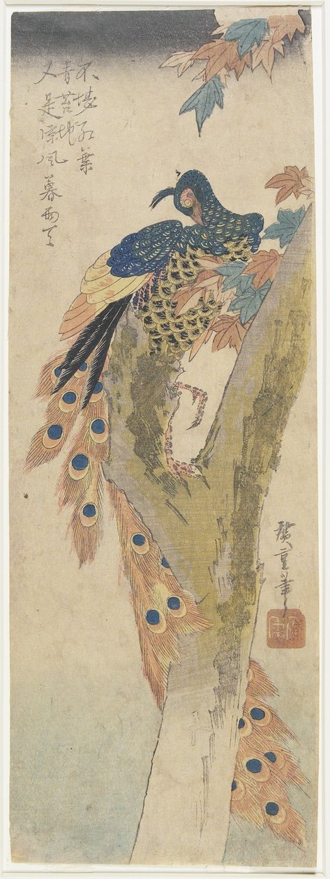 (Pavone su acero), inizio XIX secolo da Utagawa Hiroshige