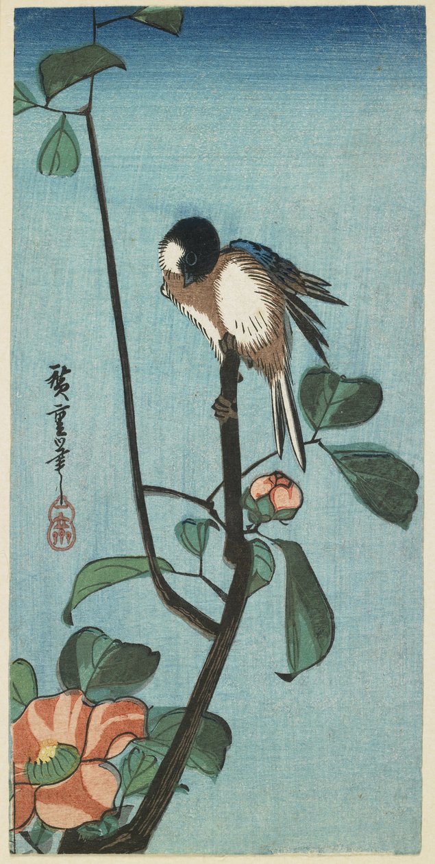 (Cinciallegra su camelia), 1830-1858 da Utagawa Hiroshige