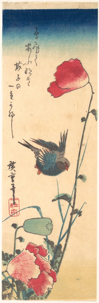 Ein Blaukehlchen und Mohnblumen da Utagawa Hiroshige