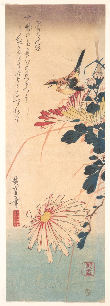 Ein Zaunkönig und Chrysanthemen da Utagawa Hiroshige