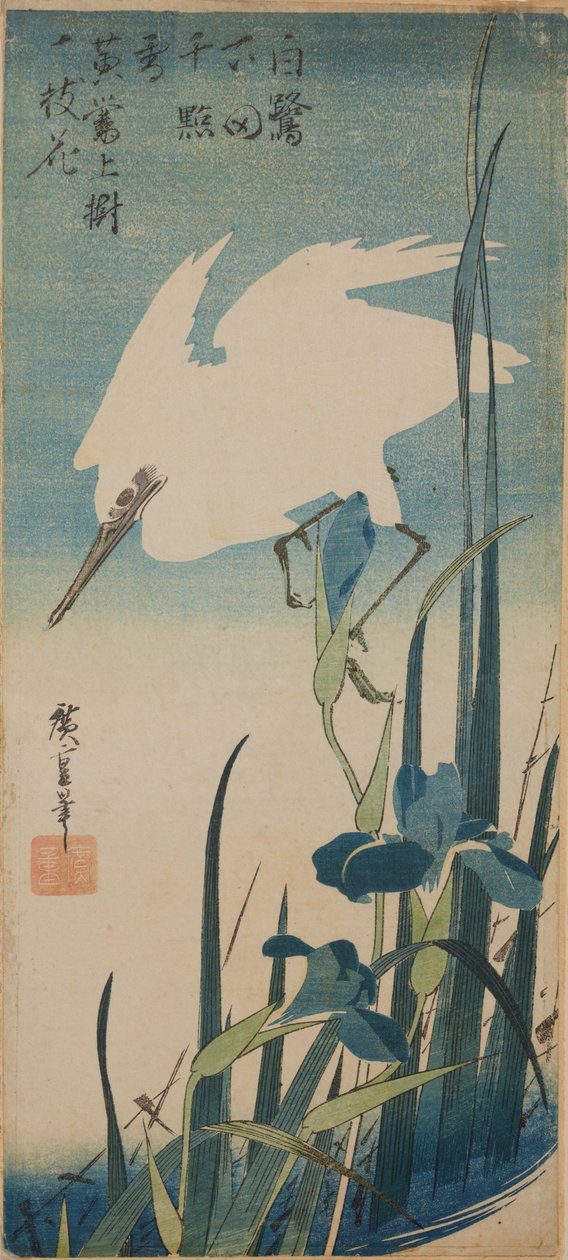Un airone bianco in volo e iris blu / Shobu to shirasagi da Utagawa Hiroshige