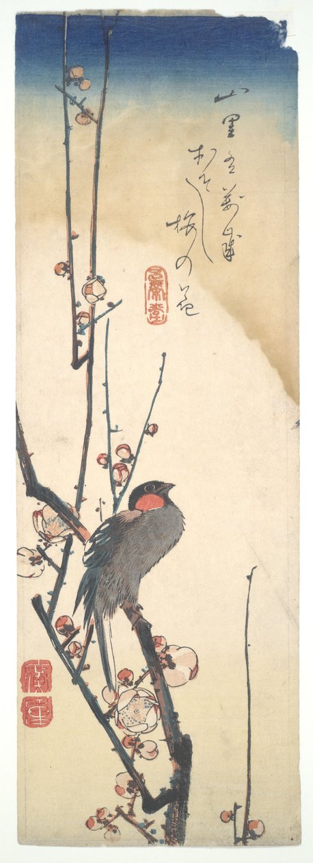 Uccello su un prugno in fiore da Utagawa Hiroshige