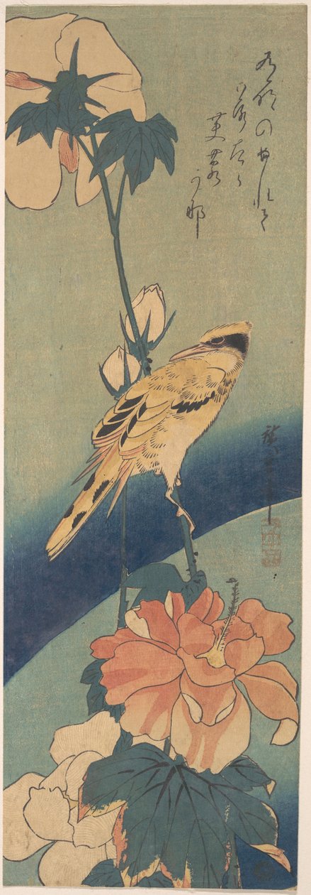 Schwarzrückenpirol auf einem Hibiskusstängel da Utagawa Hiroshige