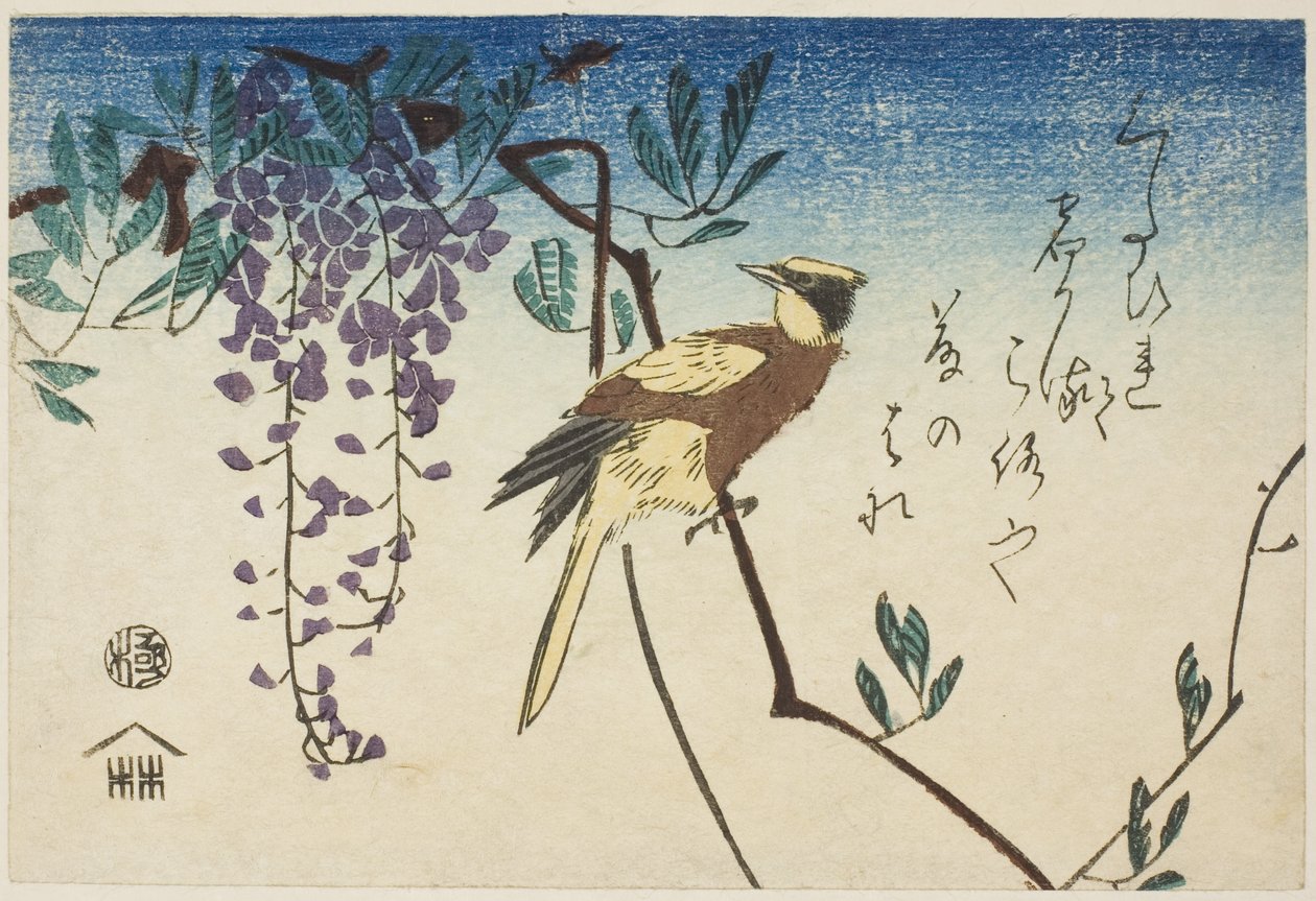 Rigogolo dal collare nero e glicine da Utagawa Hiroshige