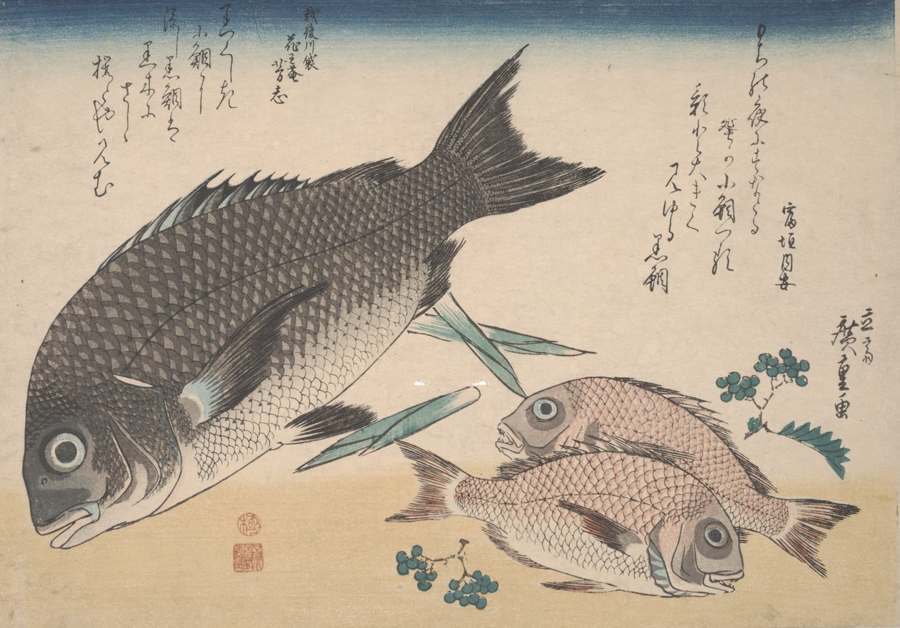 Orata del Mar Nero, Piccola Orata, Germogli di Asparagi e Pepe Sansho, c.1830 da Utagawa Hiroshige