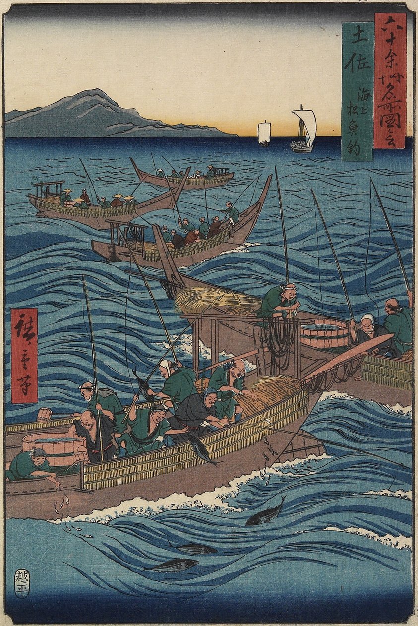 Pesca del Bonito nell