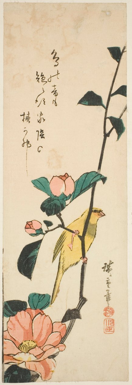 Canarino e camelie da Utagawa Hiroshige