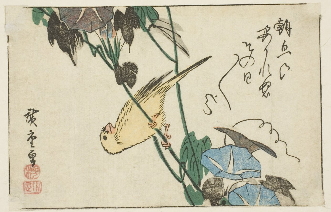 Canarino e glorie del mattino da Utagawa Hiroshige