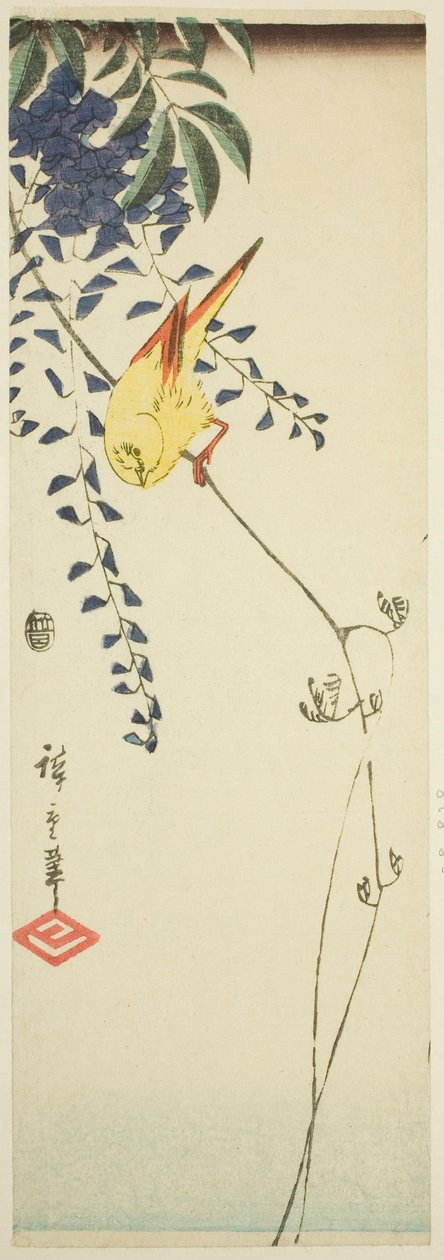 Canarino e glicine da Utagawa Hiroshige