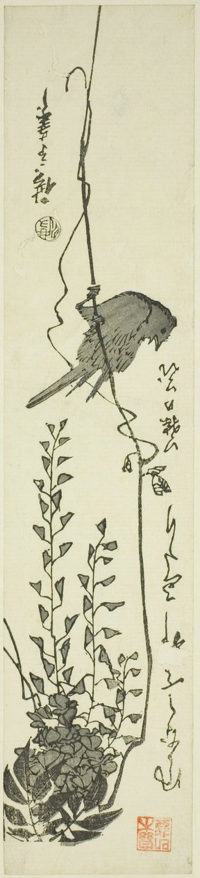 Canarino e glicine da Utagawa Hiroshige