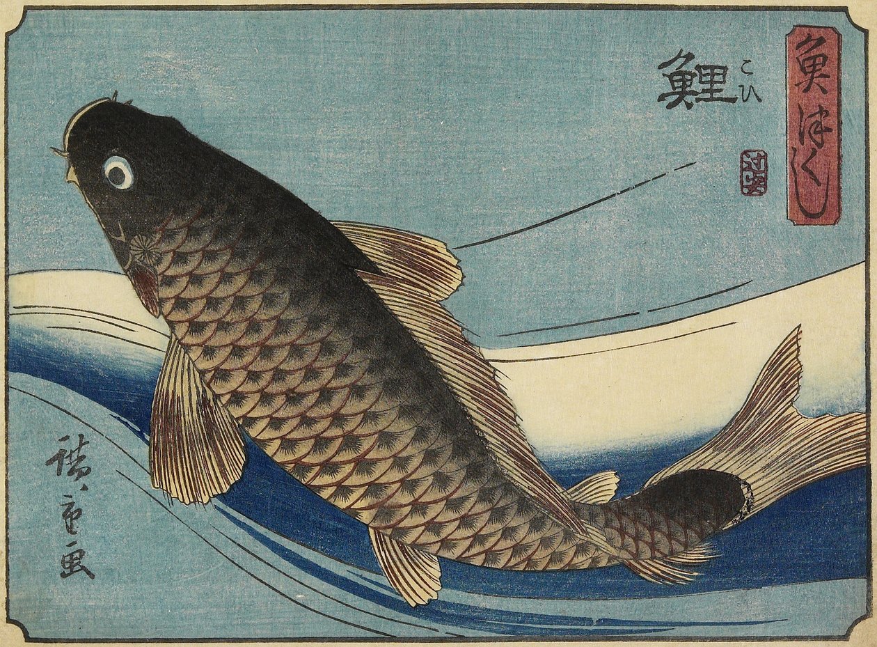 Carpa da Utagawa Hiroshige