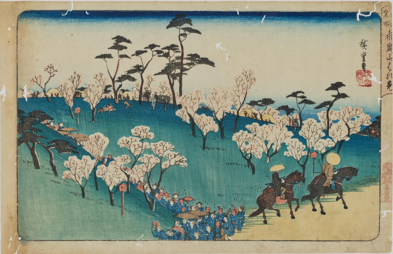 “Ammirare i fiori di ciliegio sulla collina di Asuka” dalla serie “Luoghi famosi di Edo” da Utagawa Hiroshige