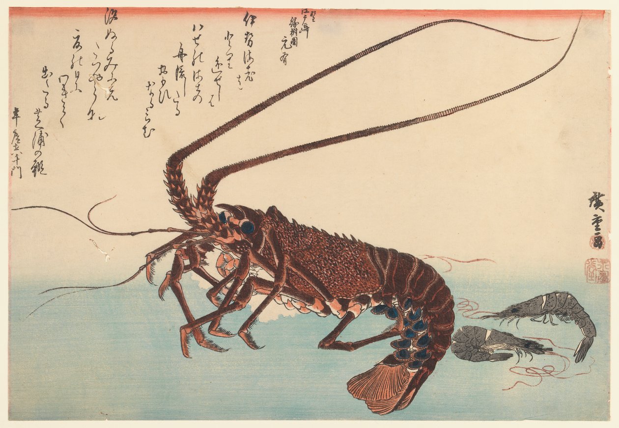 Gambero e due gamberetti, dalla serie Grandi Pesci, 1840 da Utagawa Hiroshige