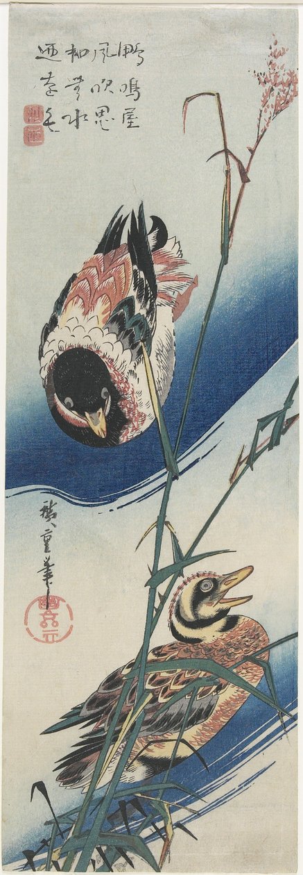 Anatre e canne, 1834-1839 da Utagawa Hiroshige