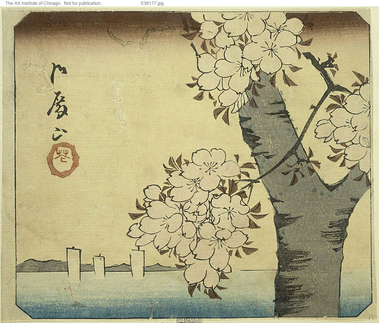 Fiori a Goten Hill, sezione di un foglio dalla serie "Ritagli di luoghi famosi di Edo" da Utagawa Hiroshige