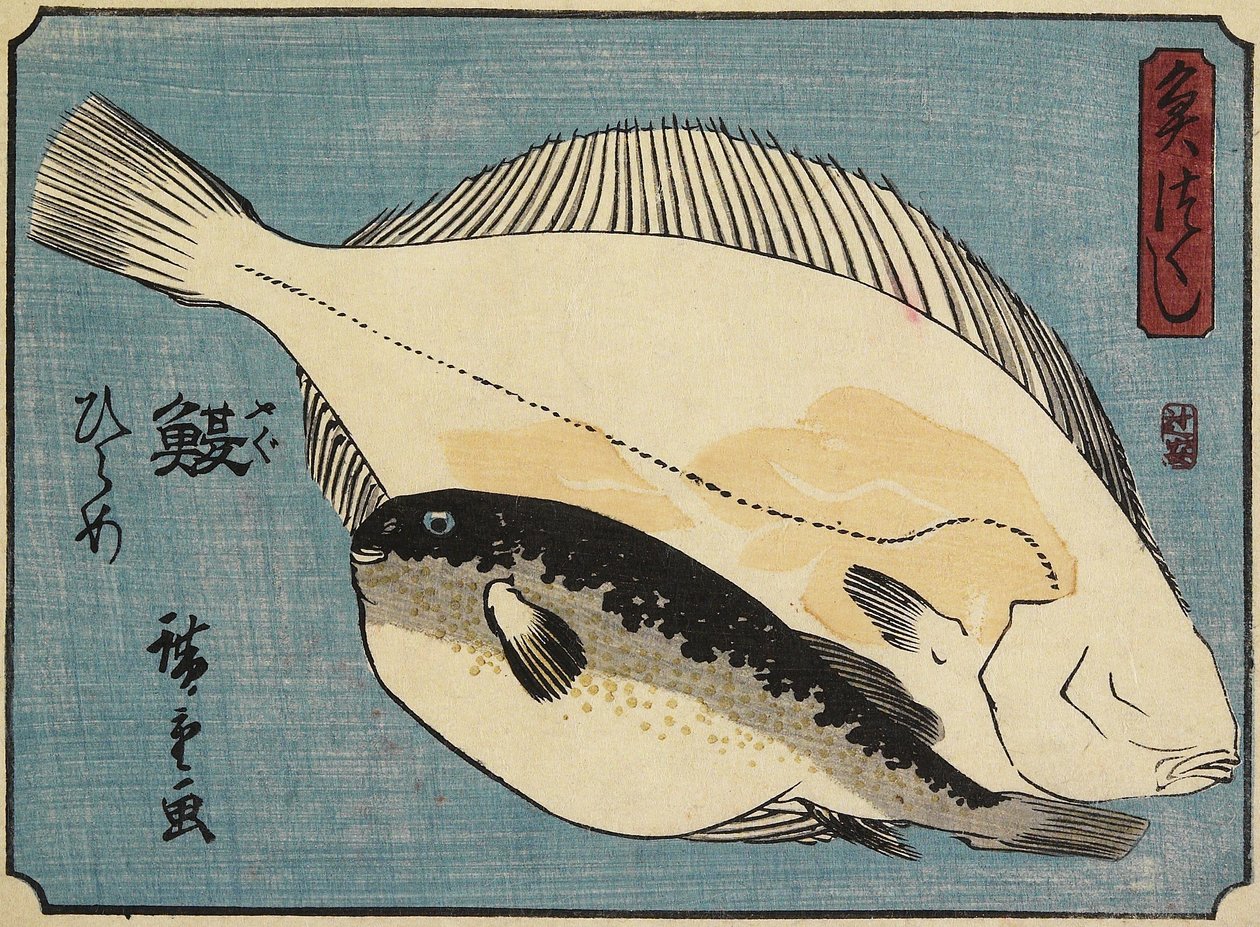 Pesce palla e passera, 1830-1844 da Utagawa Hiroshige