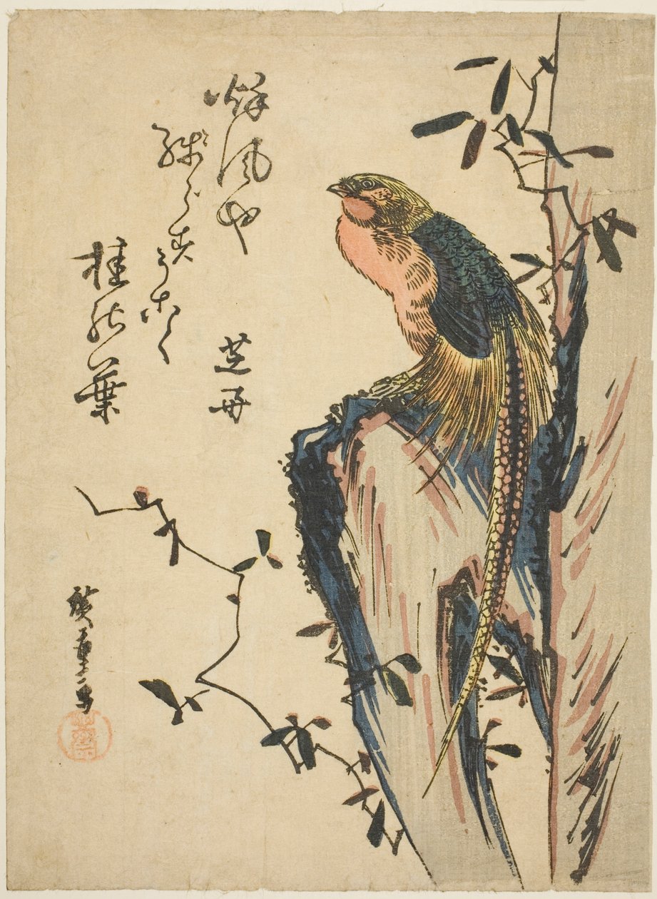 Fagiano dorato da Utagawa Hiroshige