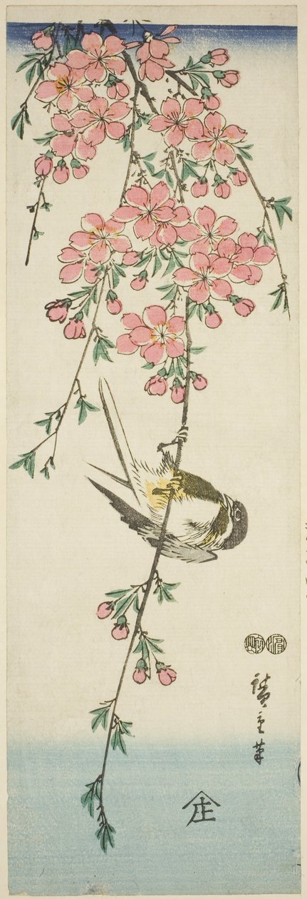 Cinciallegra e fiori di ciliegio da Utagawa Hiroshige