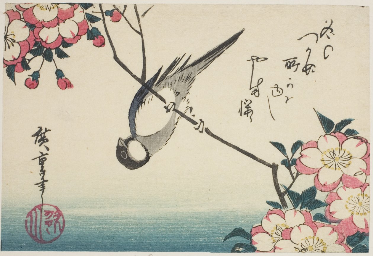 Cinciallegra su ramo di ciliegio in fiore da Utagawa Hiroshige
