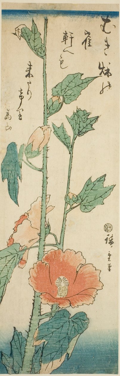 Ibisco da Utagawa Hiroshige