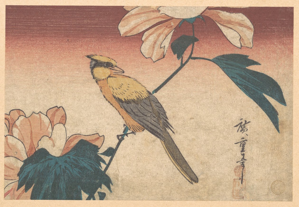Hibiscus mutabilis e Jay da Utagawa Hiroshige