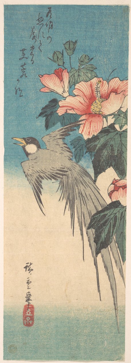 Hibiscus Mutabilis und Langschwanzvogel da Utagawa Hiroshige
