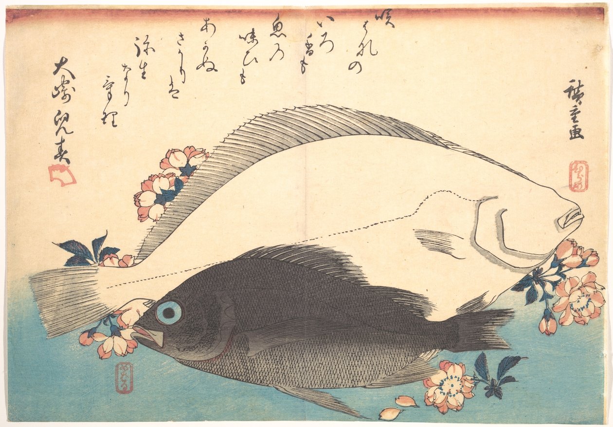 Pesci hirame e mebaru con fiori di ciliegio, dalla serie Uozukushi - Ogni varietà di pesce da Utagawa Hiroshige