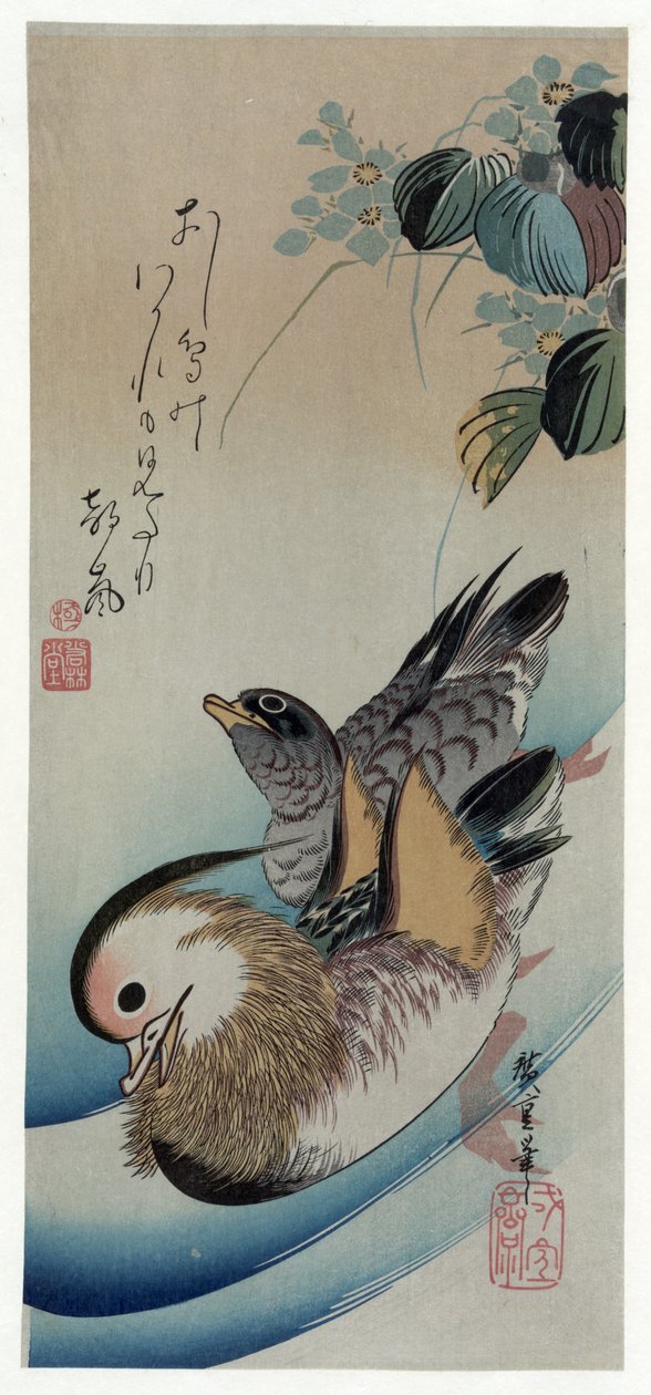 Hiroshige (1838) Due anatre mandarine da Utagawa Hiroshige