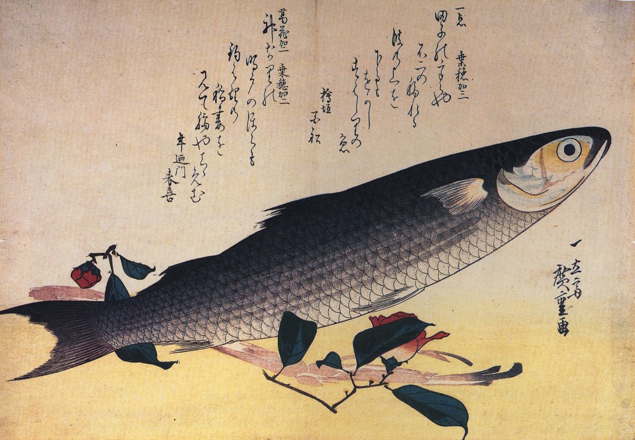 Hiroshige Cefalo e camelia da Utagawa Hiroshige
