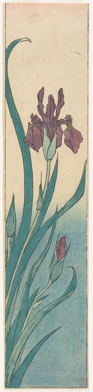 Iris da Utagawa Hiroshige
