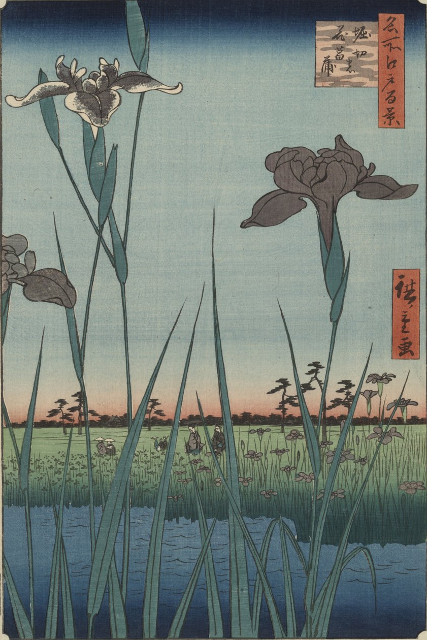 Iris di Horikiri, dalla serie “Cento vedute famose di Edo” da Utagawa Hiroshige