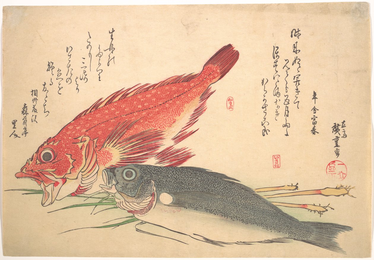 Pesci Isaki e Kasago, dalla serie Uozukushi (Ogni varietà di pesce) da Utagawa Hiroshige