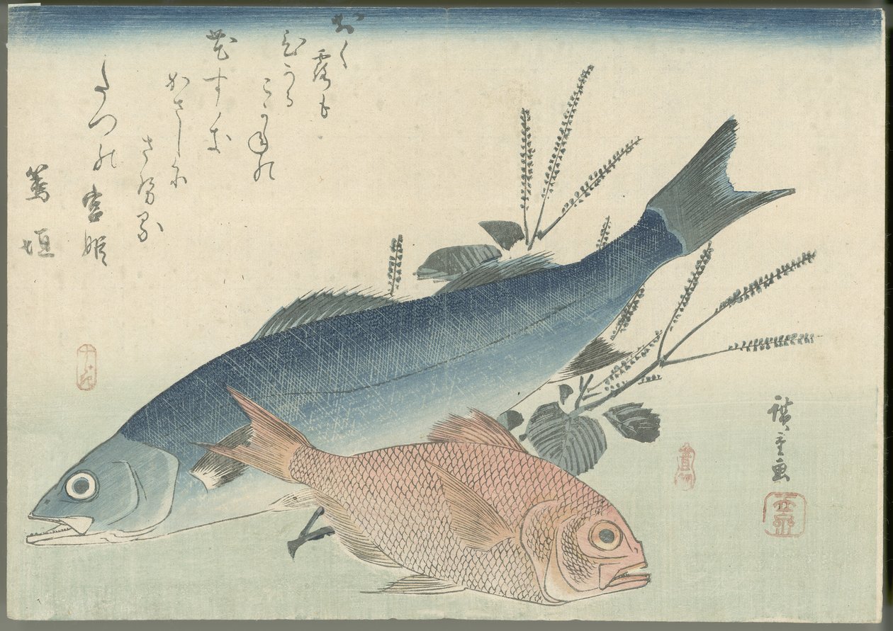 Branzino giapponese, orata dagli occhi dorati e pianta di shiso da Utagawa Hiroshige