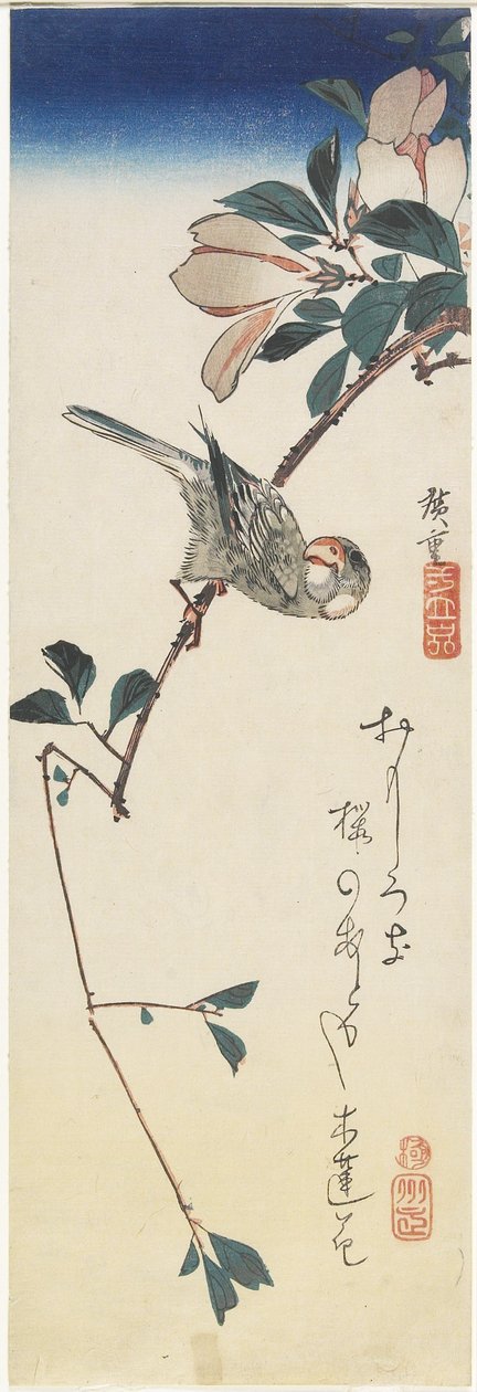 Passero di Giava e magnolia, 1834-1839 da Utagawa Hiroshige