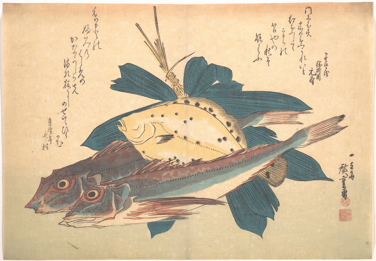 Pesci Kanagashira e Karei, dalla serie Uozukushi (Ogni varietà di pesce) da Utagawa Hiroshige
