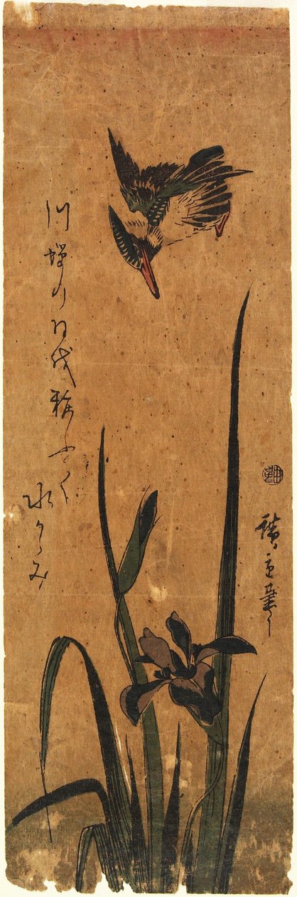 Eisvogel und Iris da Utagawa Hiroshige