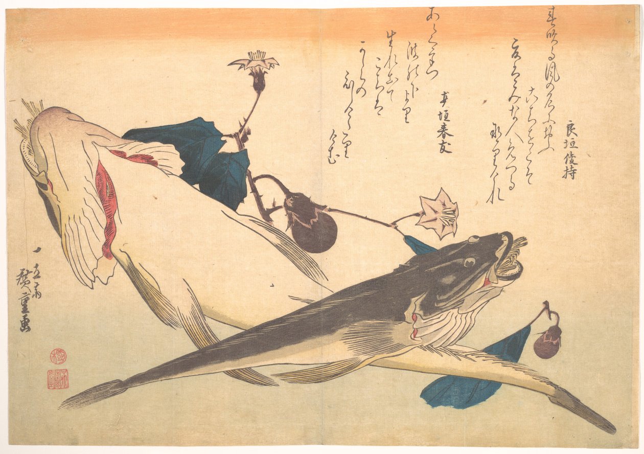 Pesce kochi con melanzana, dalla serie Uozukushi (Ogni varietà di pesce) da Utagawa Hiroshige