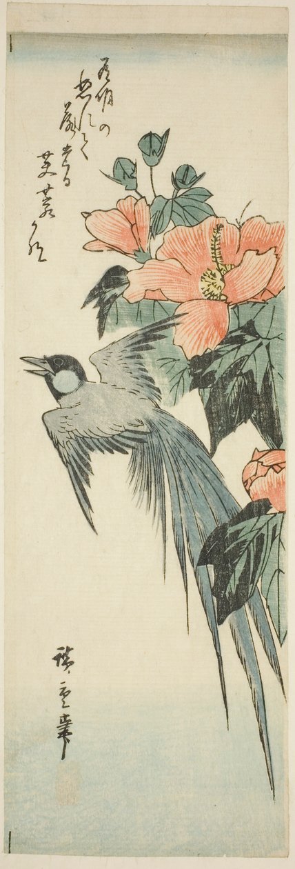Uccello dalla lunga coda e ibisco da Utagawa Hiroshige