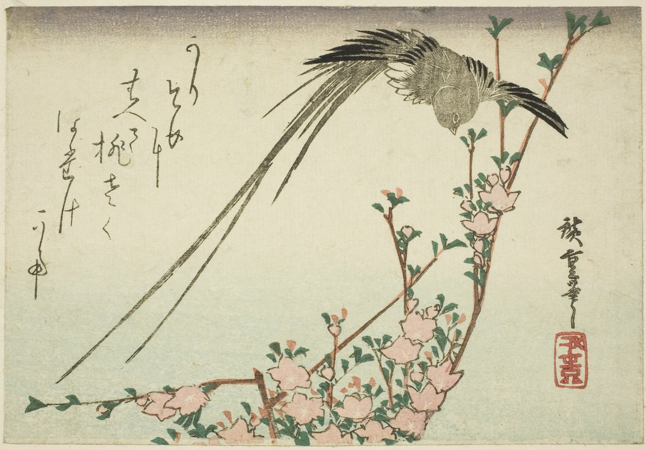 Uccello dalla lunga coda e fiori di pesco da Utagawa Hiroshige