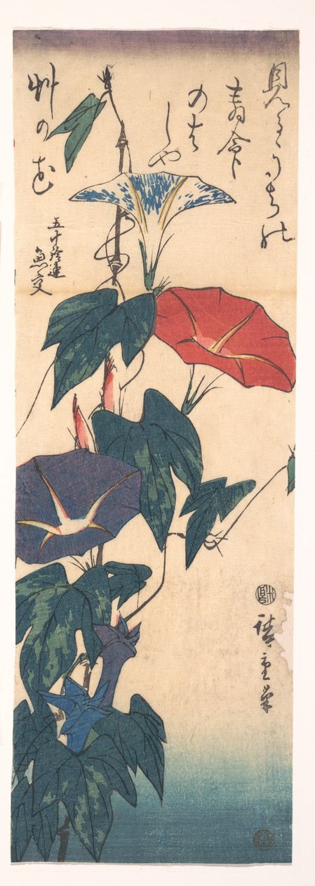 Prunkwinden da Utagawa Hiroshige