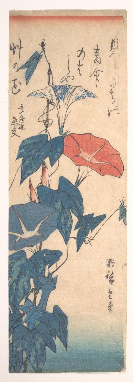 Prunkwinden da Utagawa Hiroshige