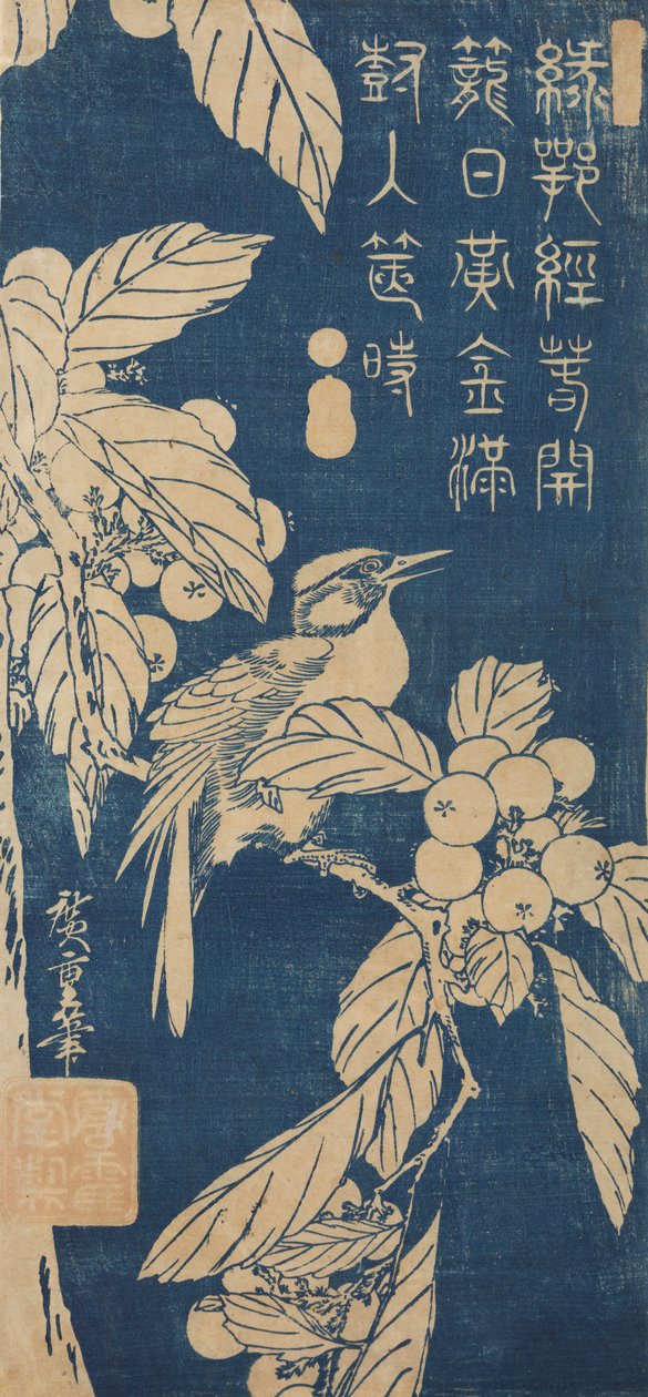 Nespolo giapponese e un piccolo uccello / Biwa ni kotori da Utagawa Hiroshige