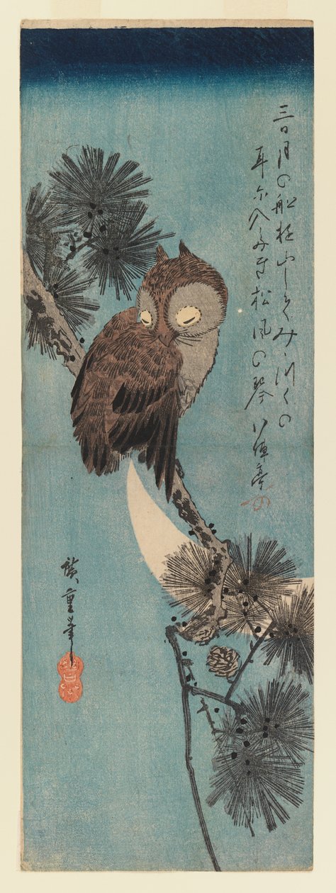 Gufo su un ramo di pino, c.1833 da Utagawa Hiroshige