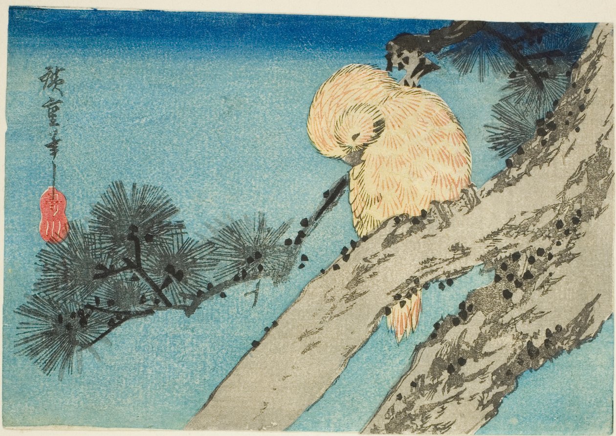 Gufo su ramo di pino da Utagawa Hiroshige