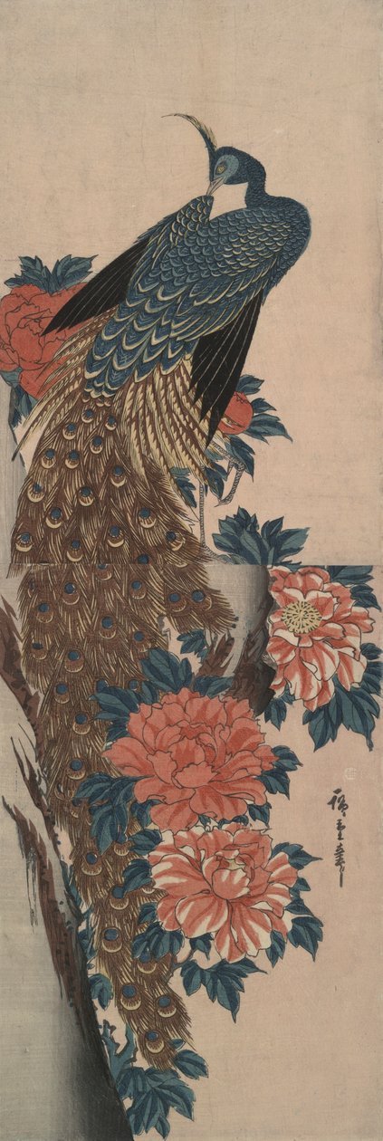 Pavone e peonie da Utagawa Hiroshige